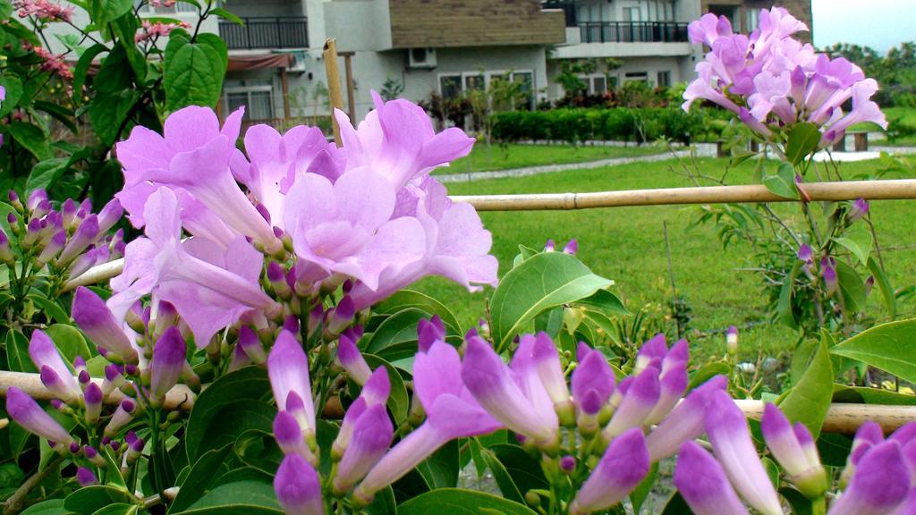 Maple Feeling Vacation Farm Guangfu Exterior foto